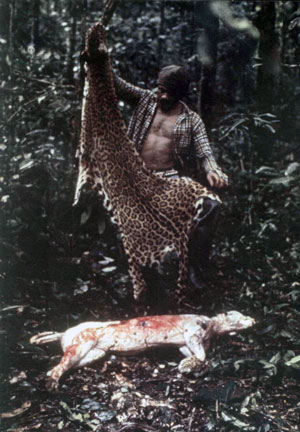 Na célebre reportagem sobre a Amazônia, Jean flagrou um caçador que acabava de tirar a pele da onça, uma de suas fotos mais famosas